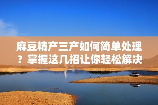 麻豆精产三产如何简单处理？掌握这几招让你轻松解决！