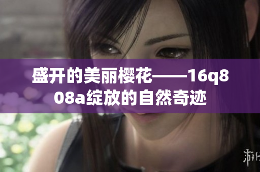 盛开的美丽樱花——16q808a绽放的自然奇迹