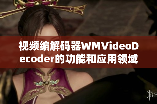视频编解码器WMVideoDecoder的功能和应用领域介绍