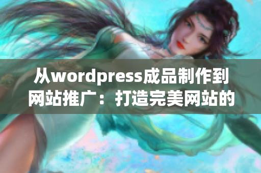 从wordpress成品制作到网站推广：打造完美网站的不二选择