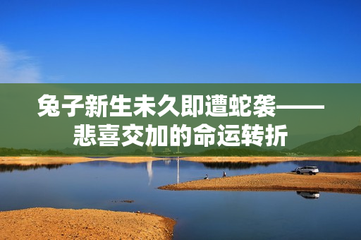 兔子新生未久即遭蛇袭——悲喜交加的命运转折