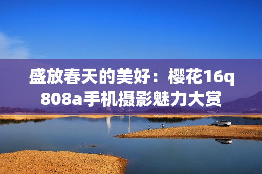 盛放春天的美好：樱花16q808a手机摄影魅力大赏
