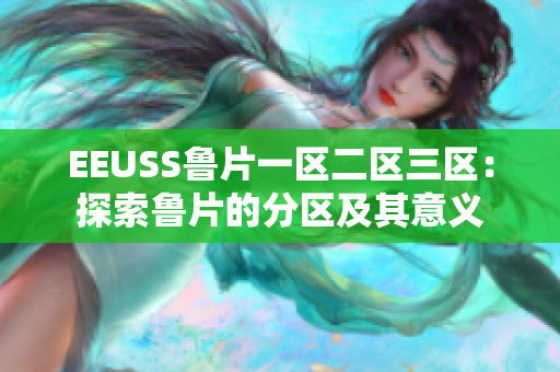 EEUSS鲁片一区二区三区：探索鲁片的分区及其意义