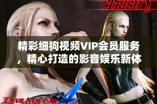 精彩细狗视频VIP会员服务，精心打造的影音娱乐新体验