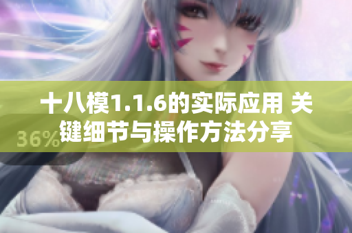 十八模1.1.6的实际应用 关键细节与操作方法分享