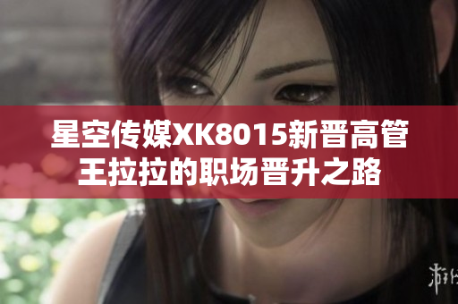 星空传媒XK8015新晋高管王拉拉的职场晋升之路