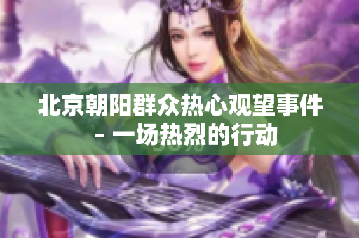 北京朝阳群众热心观望事件  – 一场热烈的行动
