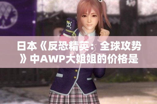 日本《反恐精英：全球攻势》中AWP大姐姐的价格是多少？