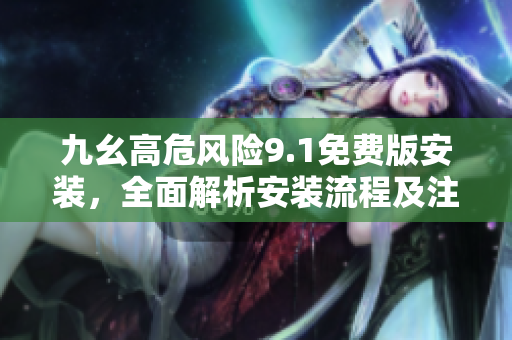 九幺高危风险9.1免费版安装，全面解析安装流程及注意事项