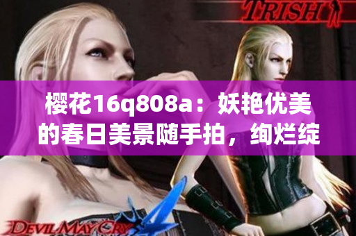 樱花16q808a：妖艳优美的春日美景随手拍，绚烂绽放的花海如诗如画