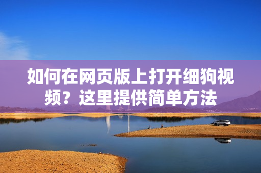 如何在网页版上打开细狗视频？这里提供简单方法
