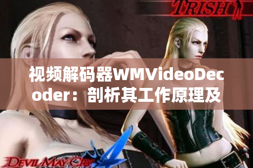 视频解码器WMVideoDecoder：剖析其工作原理及性能展望