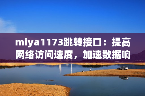miya1173跳转接口：提高网络访问速度，加速数据响应