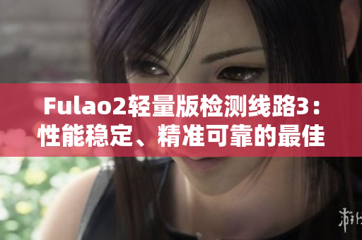 Fulao2轻量版检测线路3：性能稳定、精准可靠的最佳选择