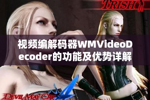视频编解码器WMVideoDecoder的功能及优势详解