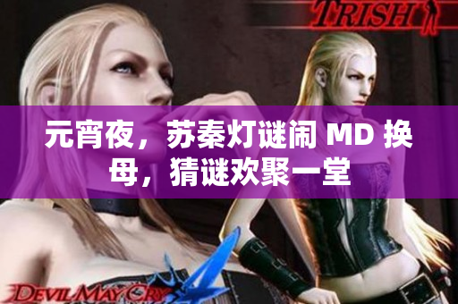 元宵夜，苏秦灯谜闹 MD 换母，猜谜欢聚一堂