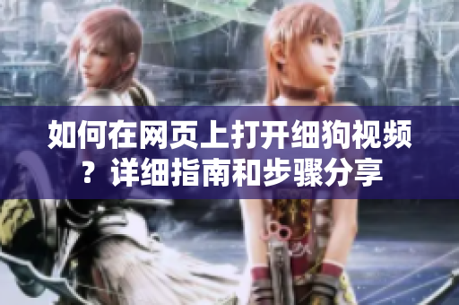 如何在网页上打开细狗视频？详细指南和步骤分享