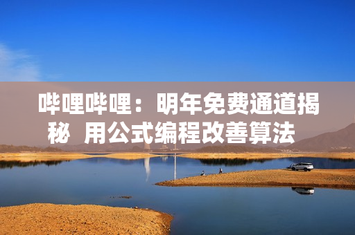 哔哩哔哩：明年免费通道揭秘  用公式编程改善算法  