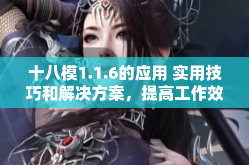 十八模1.1.6的应用 实用技巧和解决方案，提高工作效率