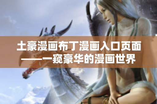 土豪漫画布丁漫画入口页面——一窥豪华的漫画世界