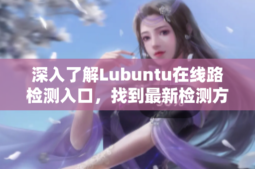 深入了解Lubuntu在线路检测入口，找到最新检测方法