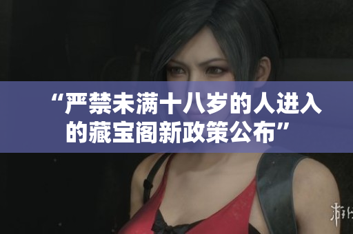 “严禁未满十八岁的人进入的藏宝阁新政策公布”