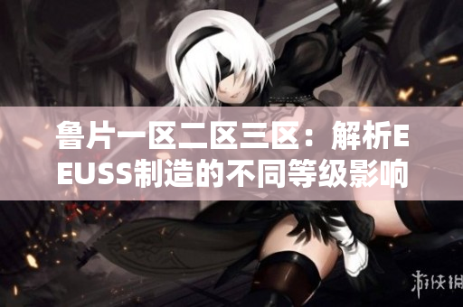 鲁片一区二区三区：解析EEUSS制造的不同等级影响