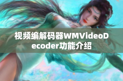 视频编解码器WMVideoDecoder功能介绍