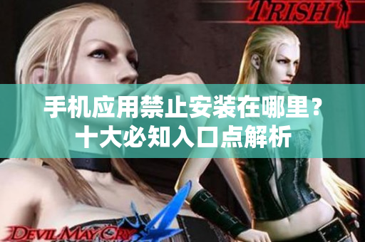 手机应用禁止安装在哪里？十大必知入口点解析
