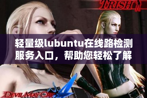轻量级lubuntu在线路检测服务入口，帮助您轻松了解网络连接状态