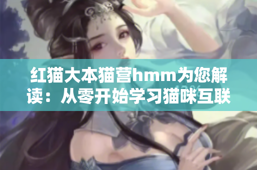 红猫大本猫营hmm为您解读：从零开始学习猫咪互联网营销经验