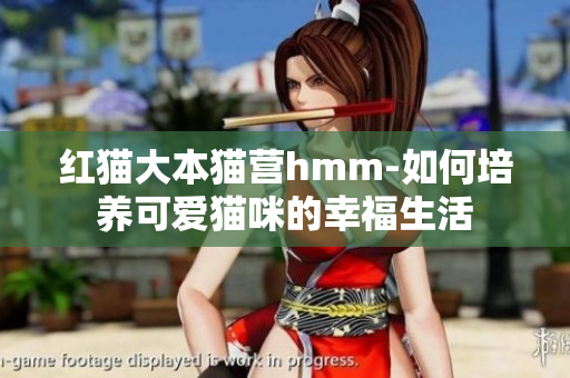 红猫大本猫营hmm-如何培养可爱猫咪的幸福生活