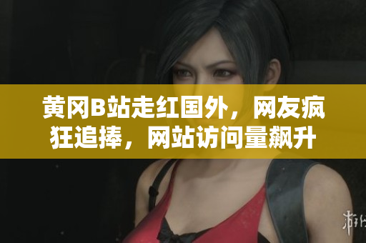 黄冈B站走红国外，网友疯狂追捧，网站访问量飙升