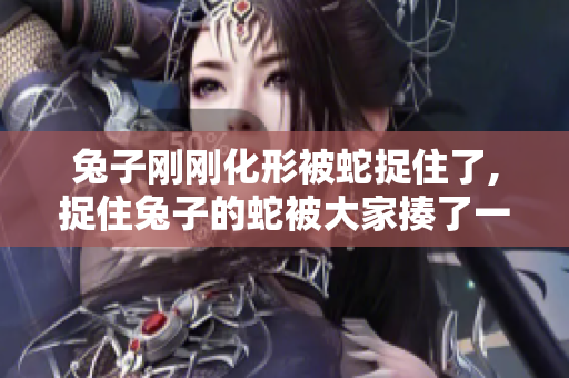 兔子刚刚化形被蛇捉住了,捉住兔子的蛇被大家揍了一顿 