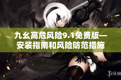 九幺高危风险9.1免费版—安装指南和风险防范措施