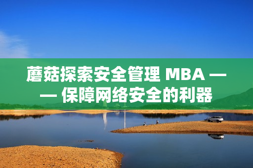 蘑菇探索安全管理 MBA —— 保障网络安全的利器