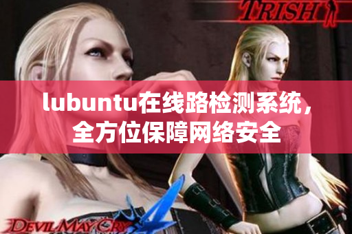 lubuntu在线路检测系统，全方位保障网络安全