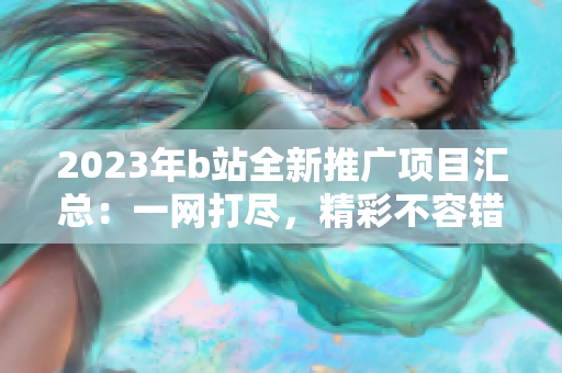 2023年b站全新推广项目汇总：一网打尽，精彩不容错过