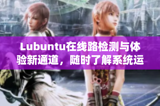 Lubuntu在线路检测与体验新通道，随时了解系统运行状态