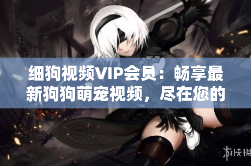细狗视频VIP会员：畅享最新狗狗萌宠视频，尽在您的触手可及