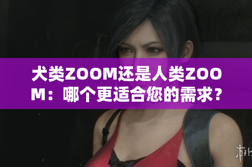 犬类ZOOM还是人类ZOOM：哪个更适合您的需求？