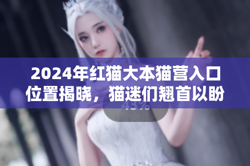 2024年红猫大本猫营入口位置揭晓，猫迷们翘首以盼