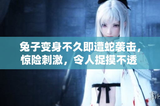 兔子变身不久即遭蛇袭击，惊险刺激，令人捉摸不透 