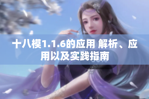 十八模1.1.6的应用 解析、应用以及实践指南