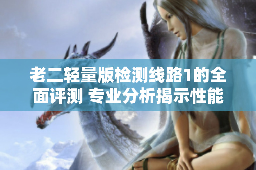 老二轻量版检测线路1的全面评测 专业分析揭示性能优劣, 为您选择提供重要参考