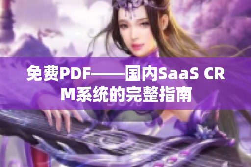 免费PDF——国内SaaS CRM系统的完整指南