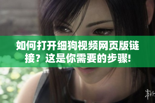 如何打开细狗视频网页版链接？这是你需要的步骤!