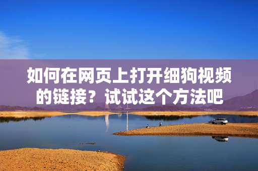 如何在网页上打开细狗视频的链接？试试这个方法吧