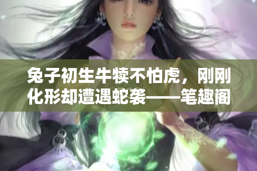 兔子初生牛犊不怕虎，刚刚化形却遭遇蛇袭——笔趣阁揭秘故事