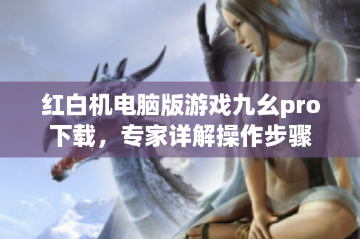 红白机电脑版游戏九幺pro下载，专家详解操作步骤
